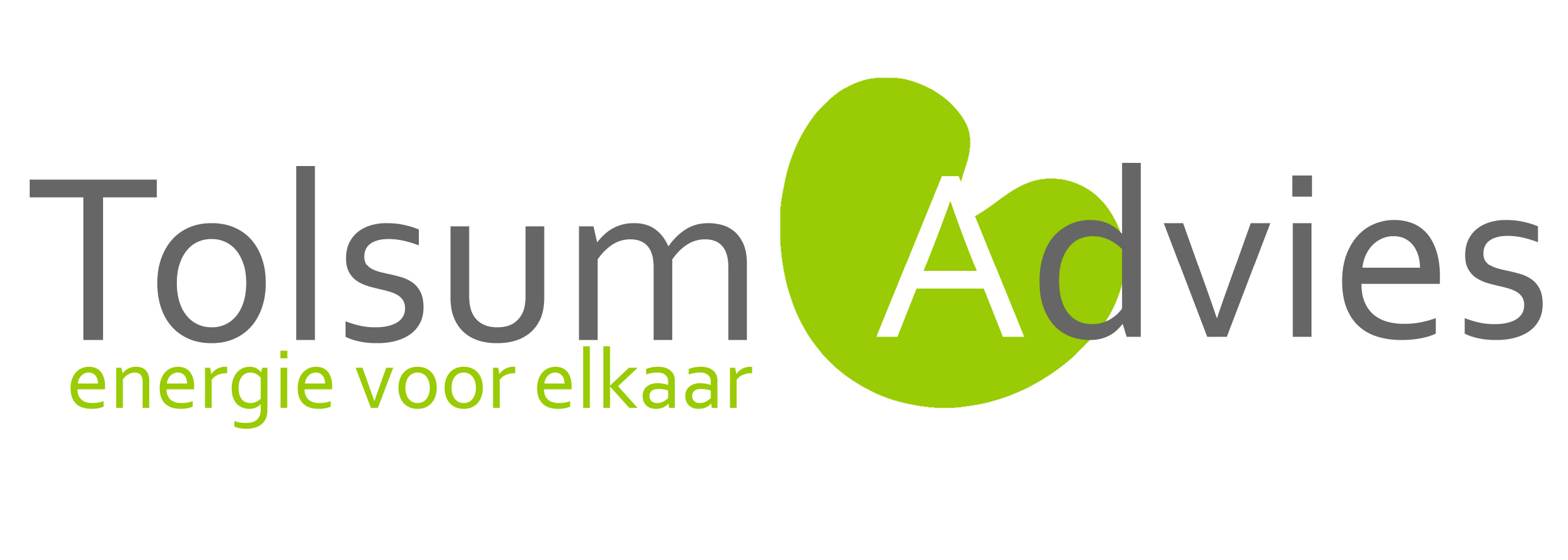 Tolsum Advies logo_png