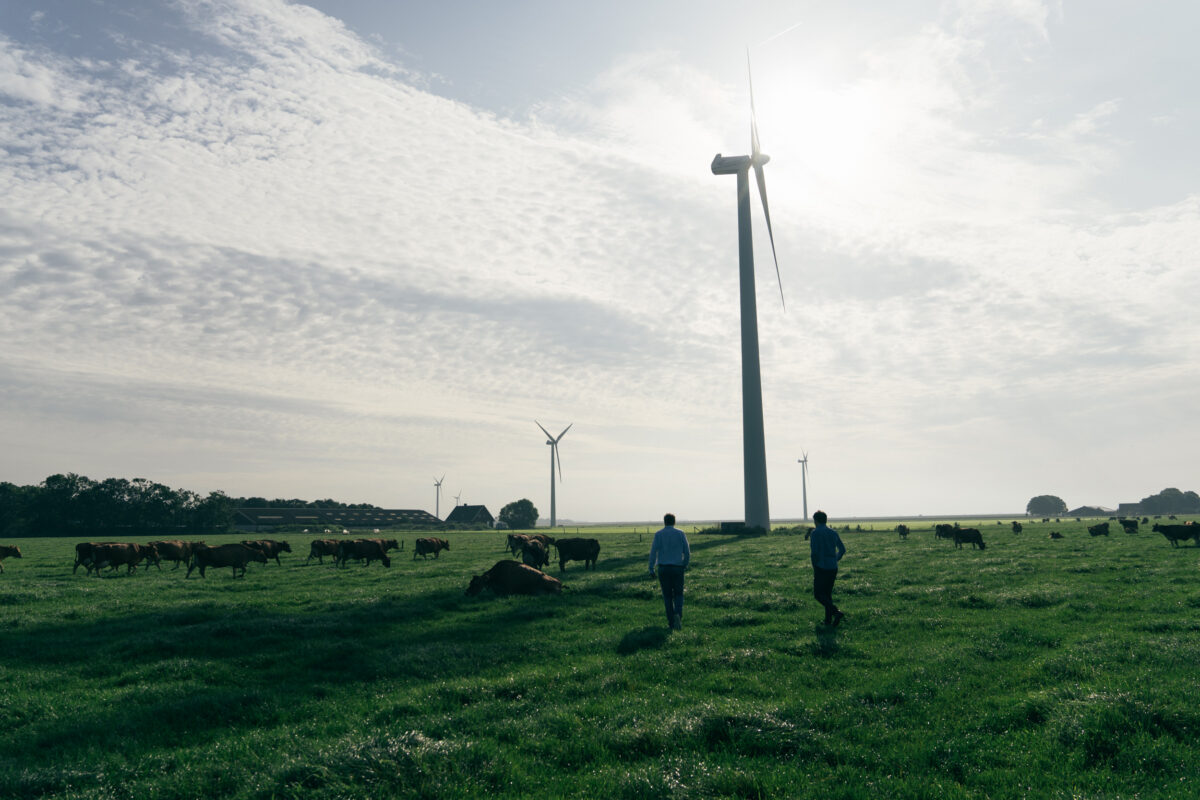 GreenDutch lanceert met Carbon Farming-programma en 11 landeigenaren eerste gecertificeerde Blijvend Grasland-project van Nederland